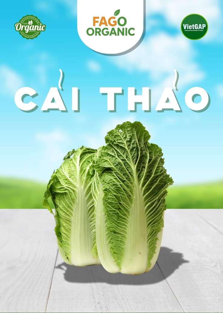 Cải thảo