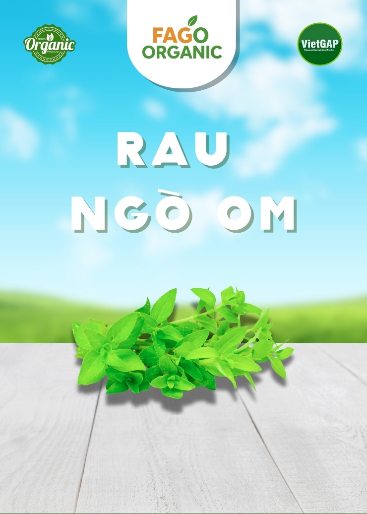 Rau ngò om (500g/bó)